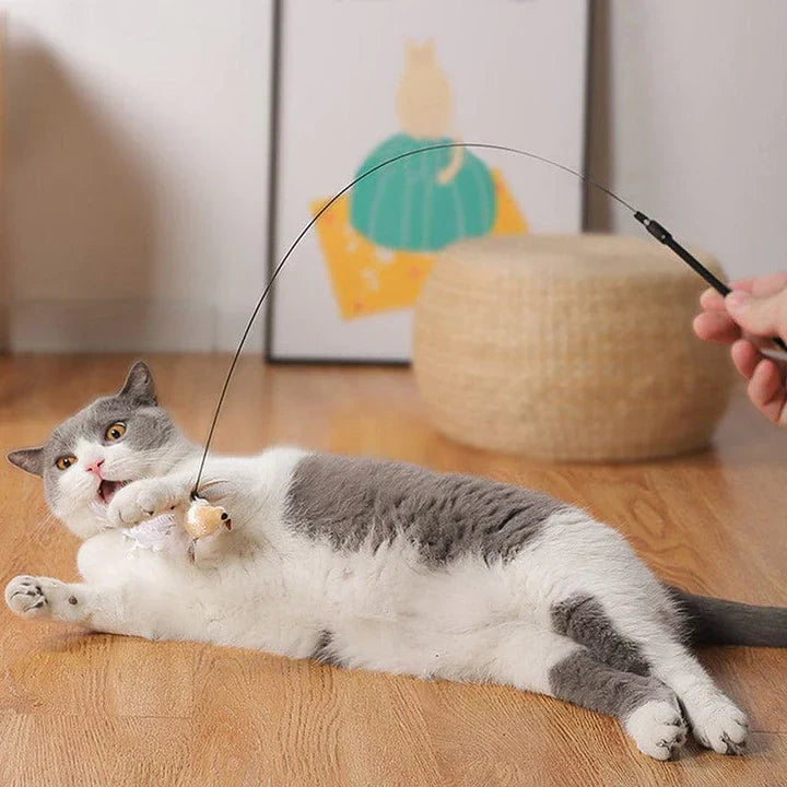 Interactief Kattenspeeltje - FlutterVriend