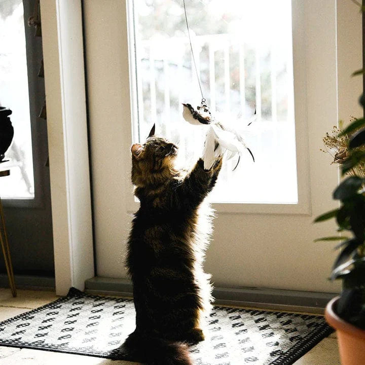 Interactief Kattenspeeltje - FlutterVriend