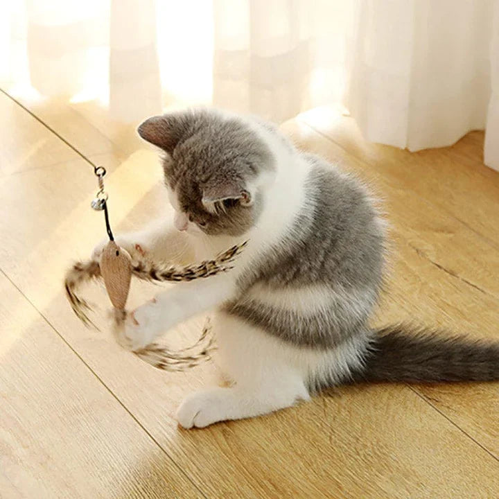 Interactief Kattenspeeltje - FlutterVriend