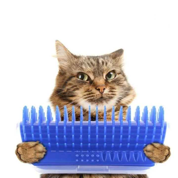 Katten Hoekborstel voor Zelfverzorging - PurrGroom