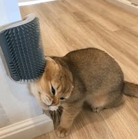 Katten Hoekborstel voor Zelfverzorging - PurrGroom