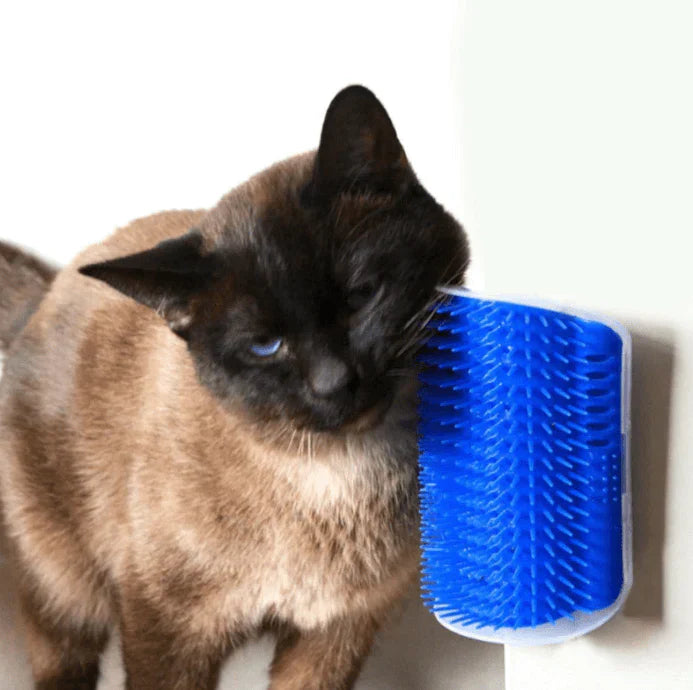 Katten Hoekborstel voor Zelfverzorging - PurrGroom