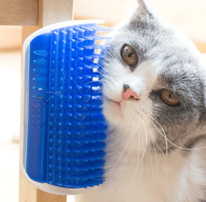 Katten Hoekborstel voor Zelfverzorging - PurrGroom