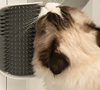 Katten Hoekborstel voor Zelfverzorging - PurrGroom