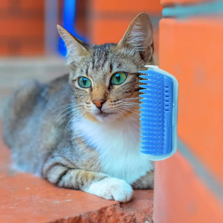 Katten Hoekborstel voor Zelfverzorging - PurrGroom