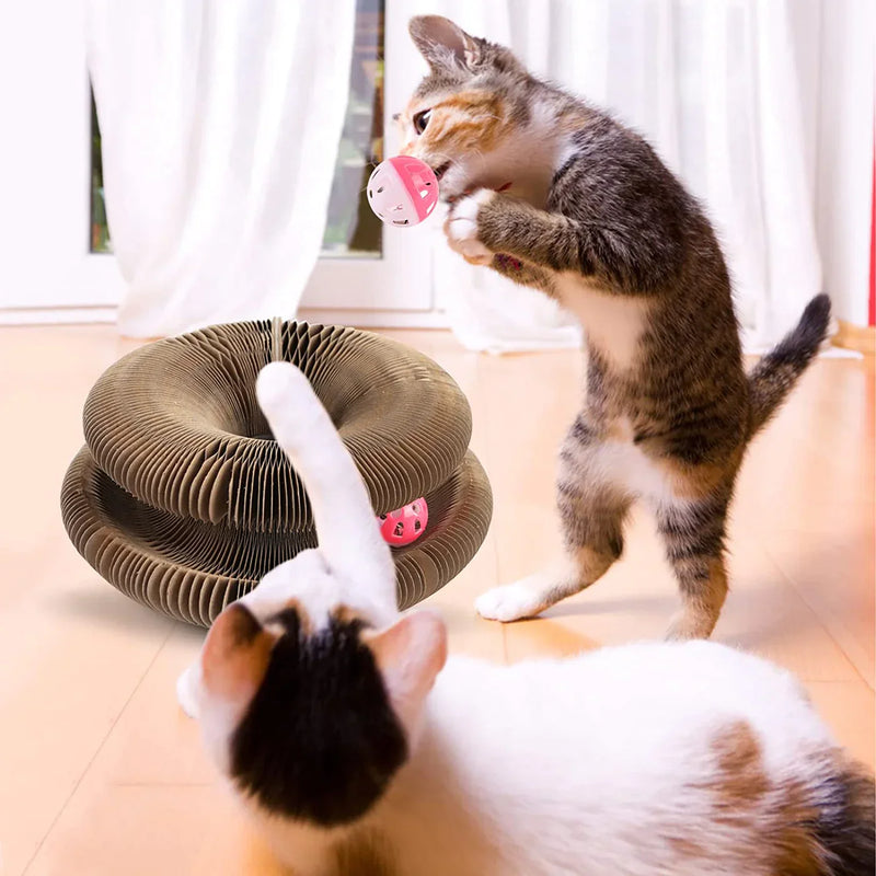 Actief Speelplezier voor je Kat - PurrFit