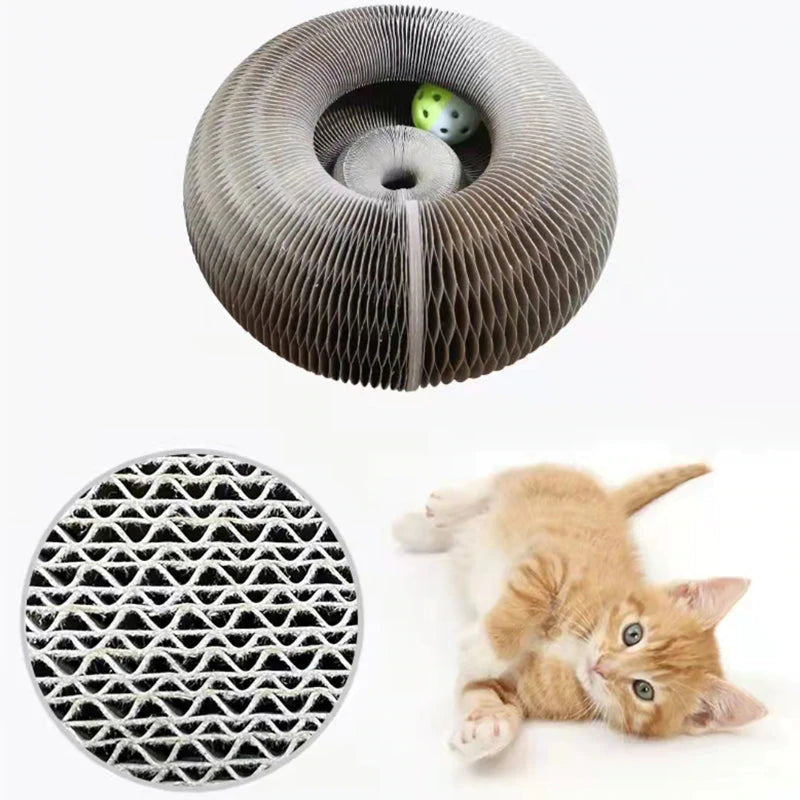 Actief Speelplezier voor je Kat - PurrFit