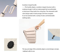 Compact Vouwbare Paraplu met Carabiner Handvat – Ashton