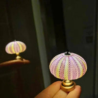 DIY Zee-egel Nachtlampje - LumiUrchin