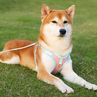 Reflecterend Puppy Tuigje - BrightPaw