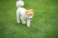 Stijlvolle Ronde Rand Hondenpet - SunnyPaws