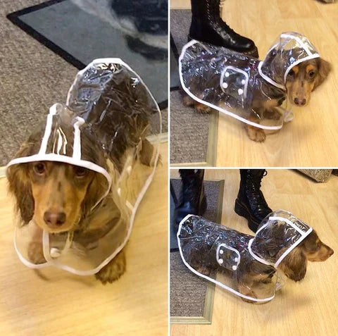 Transparante Waterdichte Regenjas voor Honden - DryPaw