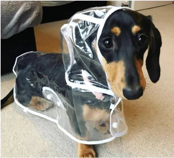 Transparante Waterdichte Regenjas voor Honden - DryPaw