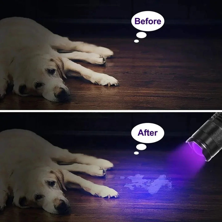 LED UV ZAKLAMP - ULTRAVIOLET INSPECTIELAMP VOOR HUISDIER URINEVLEKKEN EN STAIN DETECTIE