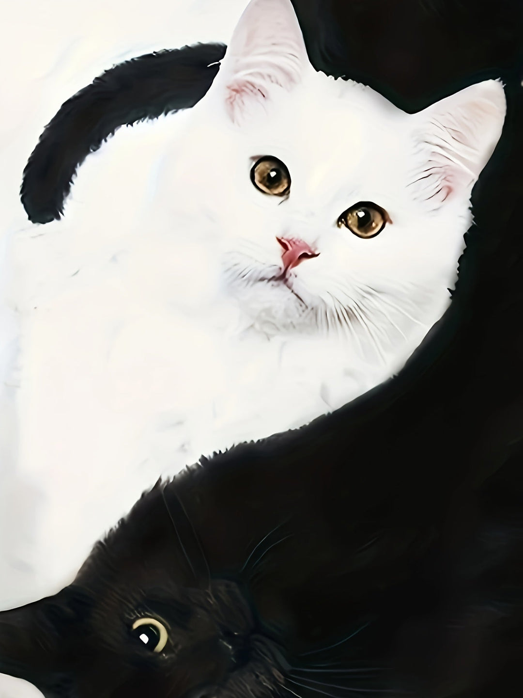 T-shirt met Kattenprint en Trendy Kleurblokken - Marit