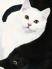 T-shirt met Kattenprint en Trendy Kleurblokken - Marit