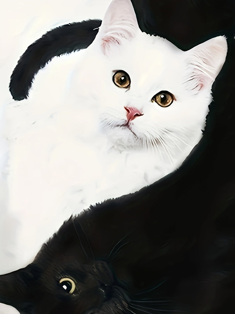 T-shirt met Kattenprint en Trendy Kleurblokken - Marit