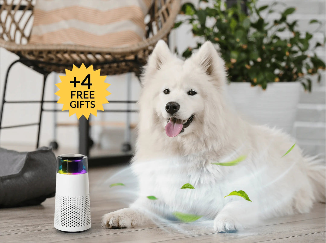 Dieren Geur Humidifier - PetFresh
