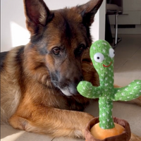Pratend Cactusspeeltje - Talk-to-Me Cactus