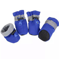 Honden Handschoenen - Pawsome Winter Walkies