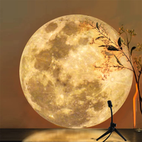 Projectielamp Aarde en Maan - CelestiaGlow