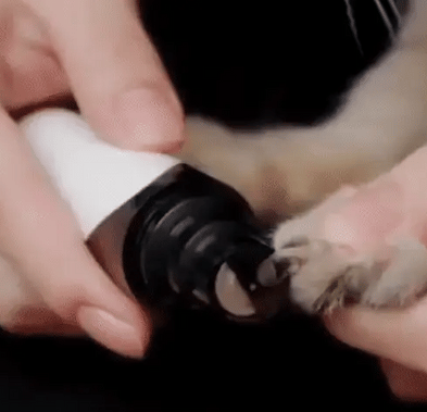 Elektrische Nagelvijl voor Honden – PawTrim