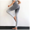 High-Waisted Shape Legging - Serena