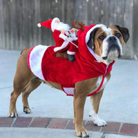 Kerstkostuum voor Honden - SantaPaws