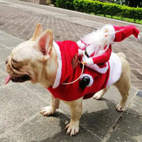 Kerstkostuum voor Honden - SantaPaws