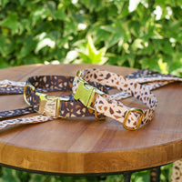 Hondenhalsband met Gouden Accenten – GoldenTerra