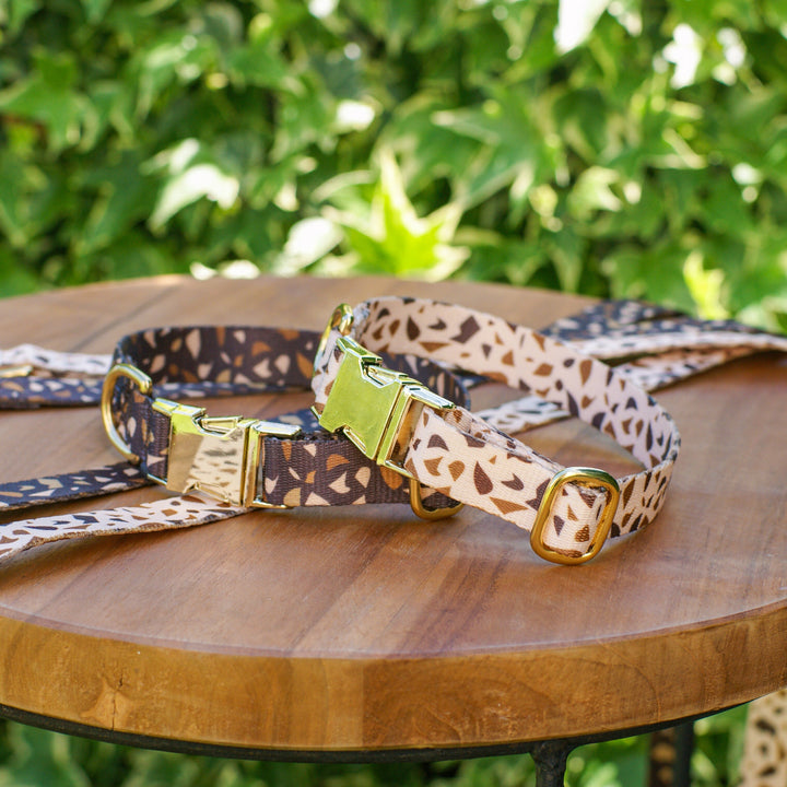 Hondenhalsband met Gouden Accenten – GoldenTerra