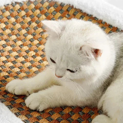 Krabbed voor Katten - PurrLuxe