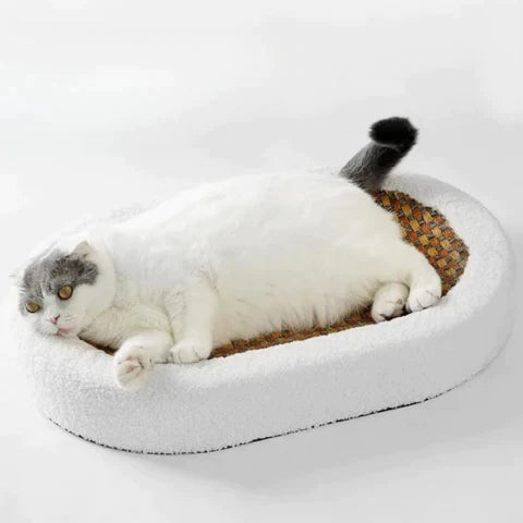 Krabbed voor Katten - PurrLuxe