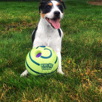 Interactieve Speelbal voor Honden - GiggleSphere