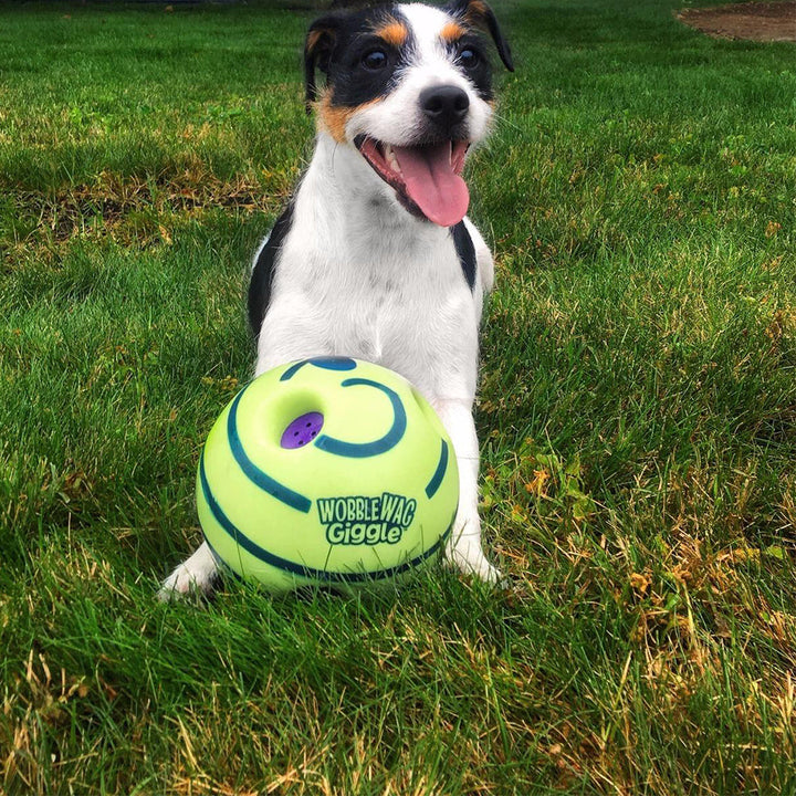 Interactieve Speelbal voor Honden - GiggleSphere