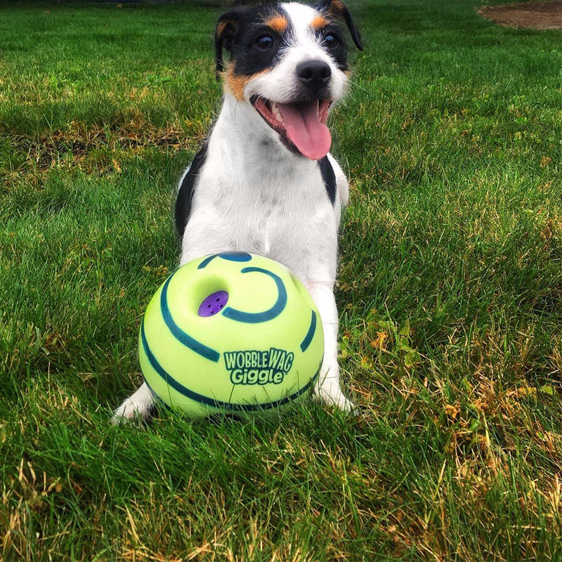 Interactieve Speelbal voor Honden - GiggleSphere