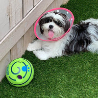 Interactieve Speelbal voor Honden - GiggleSphere