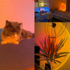 Sunset Lamp met 4 Kleuren - GlowSphere