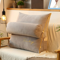 Driehoekige Rugsteun Kussen - RelaxBack