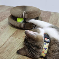 Actief Speelplezier voor je Kat - PurrFit