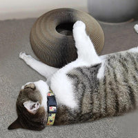 Actief Speelplezier voor je Kat - PurrFit