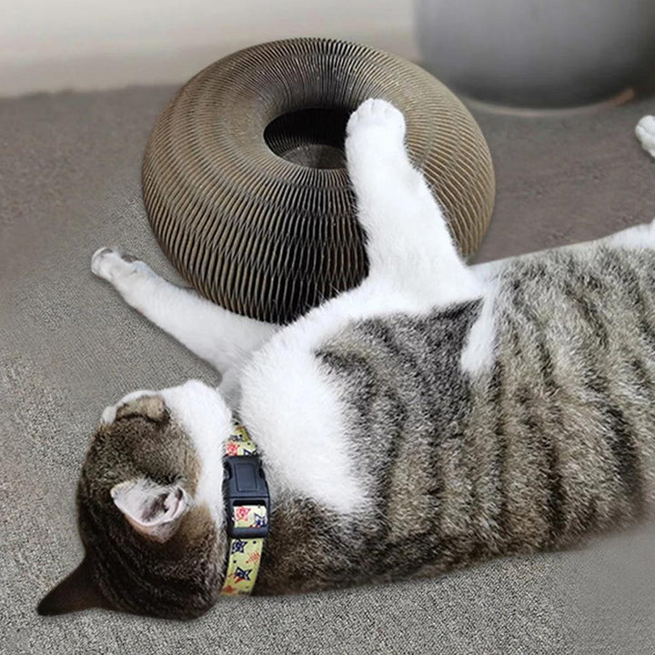 Actief Speelplezier voor je Kat - PurrFit