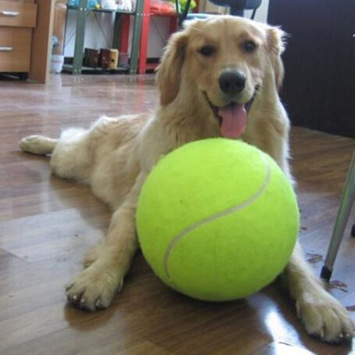XXL Tennisbal voor Honden (24 cm) - GiantFetch