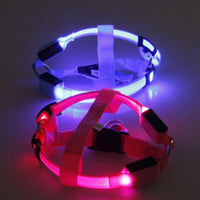 Hondentuigje met LED - Glow&Go