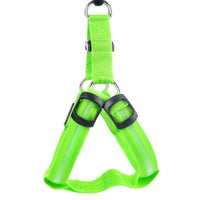 Hondentuigje met LED - Glow&Go