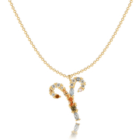 Stijlvolle Sterrenbeeld Ketting - Celestia