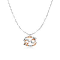 Stijlvolle Sterrenbeeld Ketting - Celestia