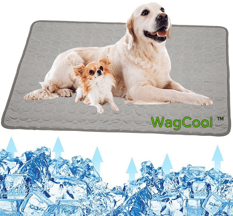Verkoelende Hondenmat - CoolPet Mat