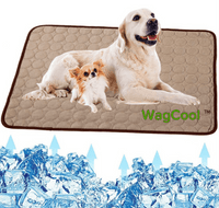 Verkoelende Hondenmat - CoolPet Mat