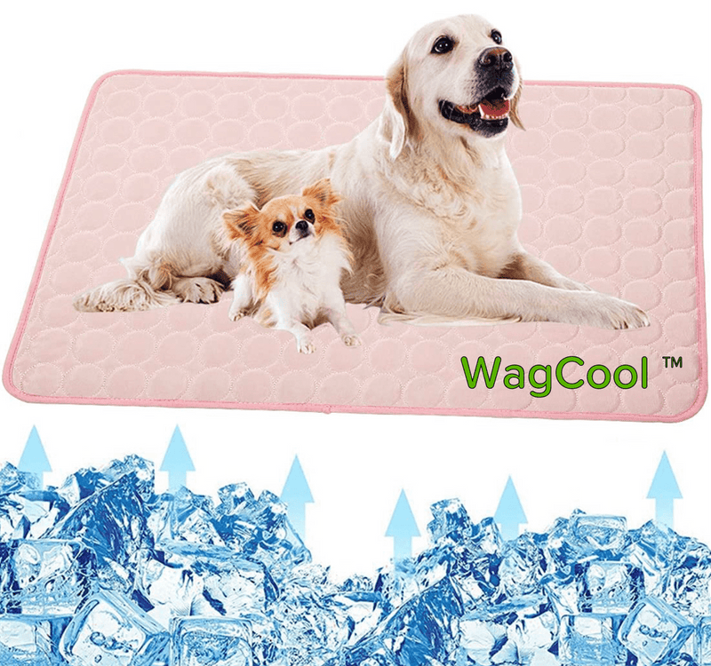 Verkoelende Hondenmat - CoolPet Mat